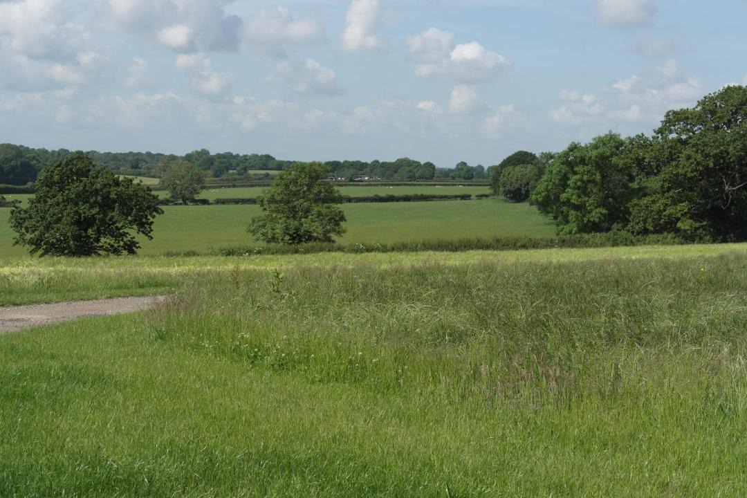 Photo of Others in Towcester