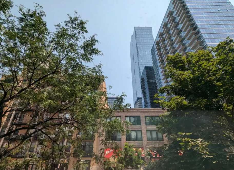 Photo of Others in South Loop