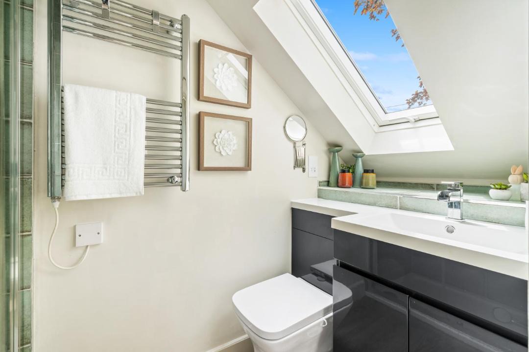 Photo of Others in New Forest District