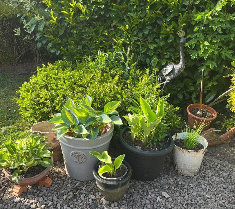 Photo of Outdoor in Severn Stoke