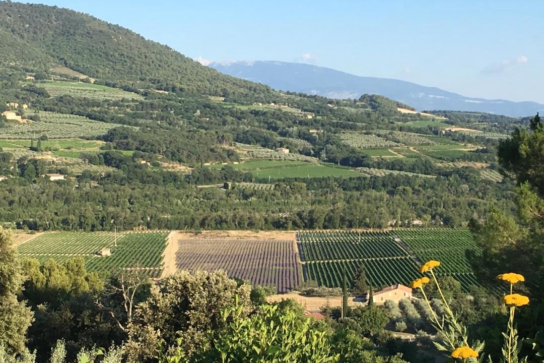 Photo of Others in Nyons