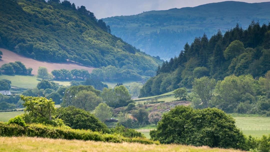 Photo of Others in Colwyn Bay