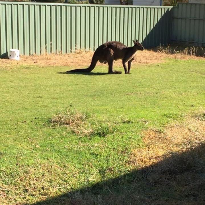 Photo of Others in Baudin Beach