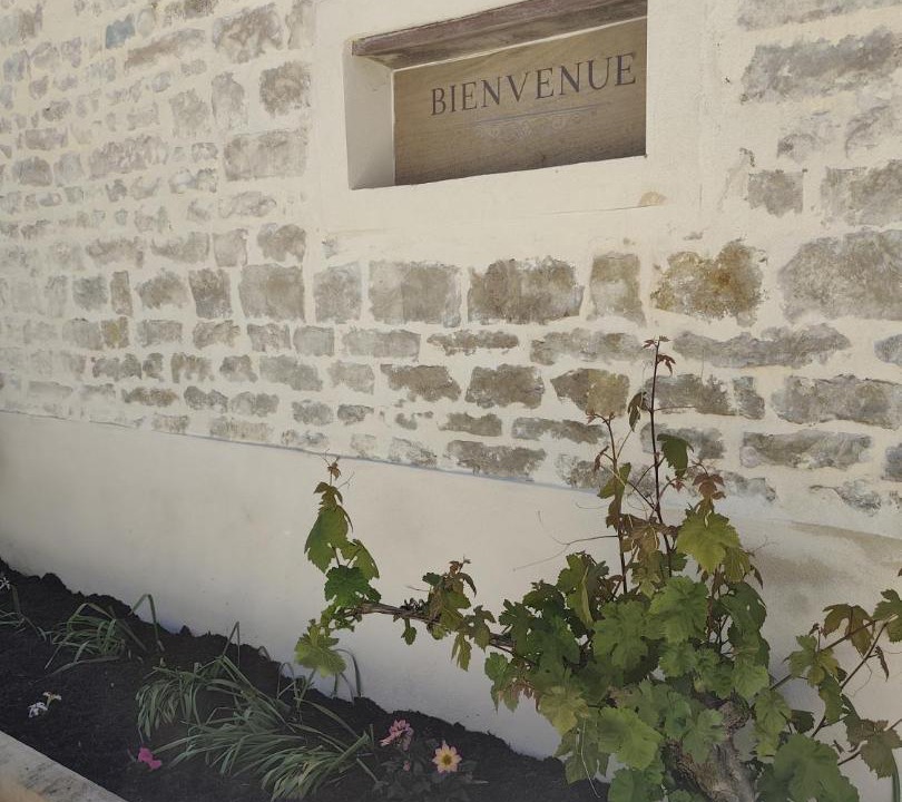 Photo of Others in Chablis