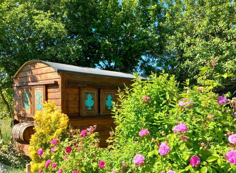 Photo of Others in La Capelle-Bleys