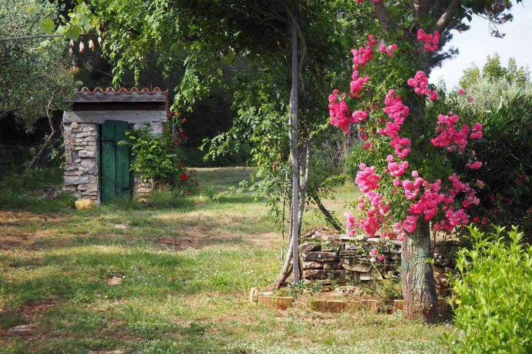 Photo of Others in Buje