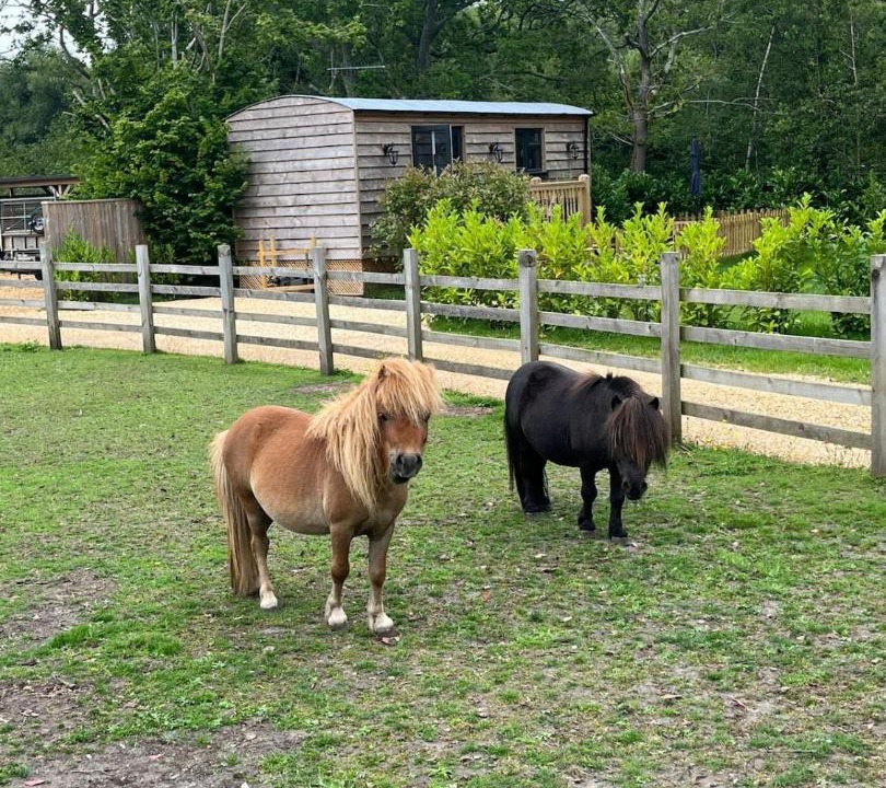 Photo of Others in Three Legged Cross