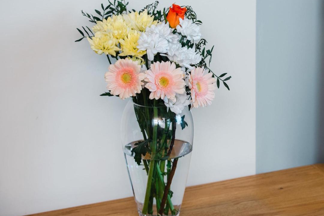 Photo of Others in Lewiston