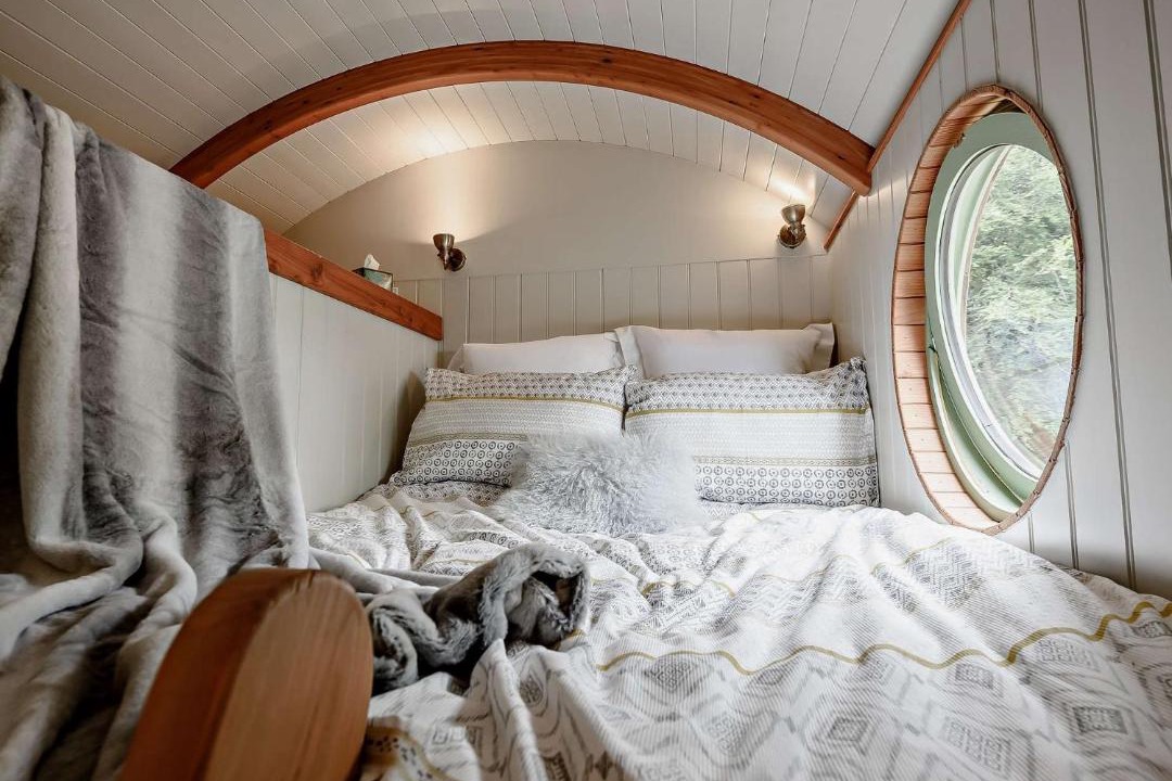 Photo of Others in Black Torrington