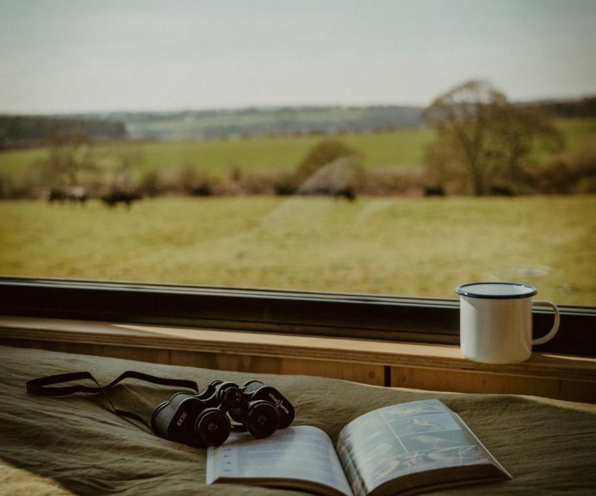 Photo of Others in Newcastle-Under-Lyme