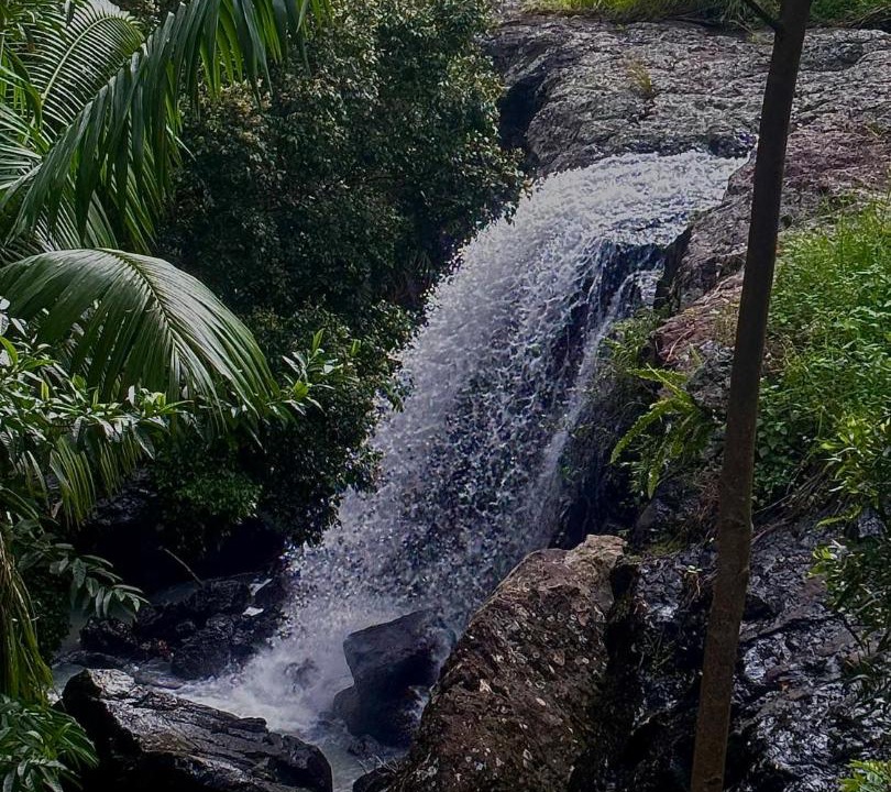 Photo of Others in Carool