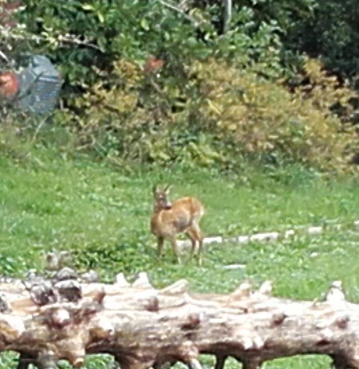 Photo of Others in Mont-Saint-Martin