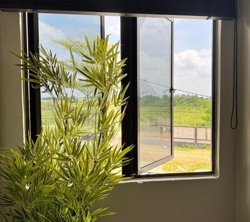 Photo of Others in Rambai