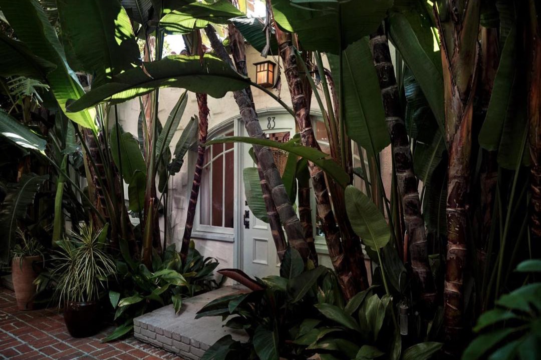 Photo of Others in Hollywood Hills West