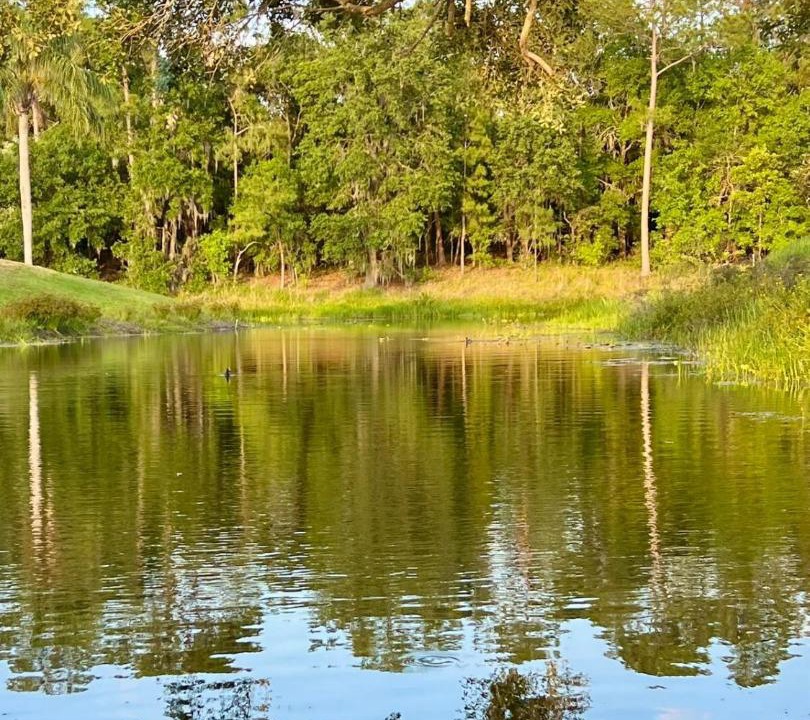 Photo of Others in Crooked Lake Park