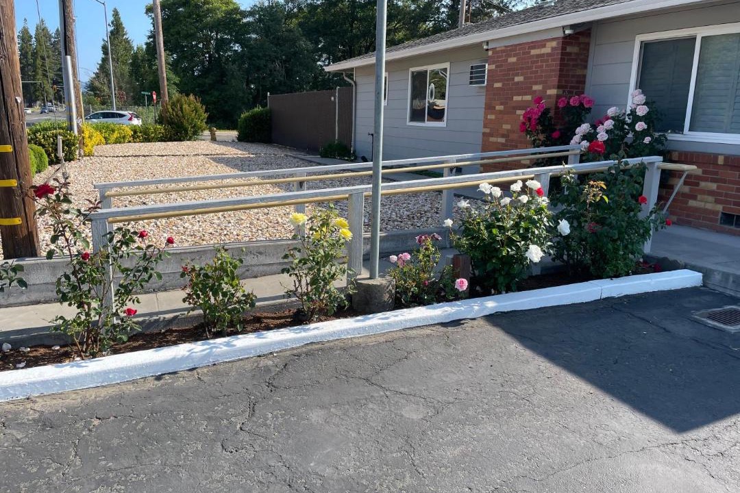 Photo of Others in Willits