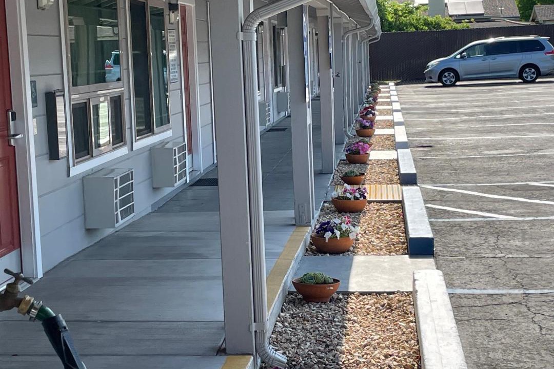 Photo of Others in Willits