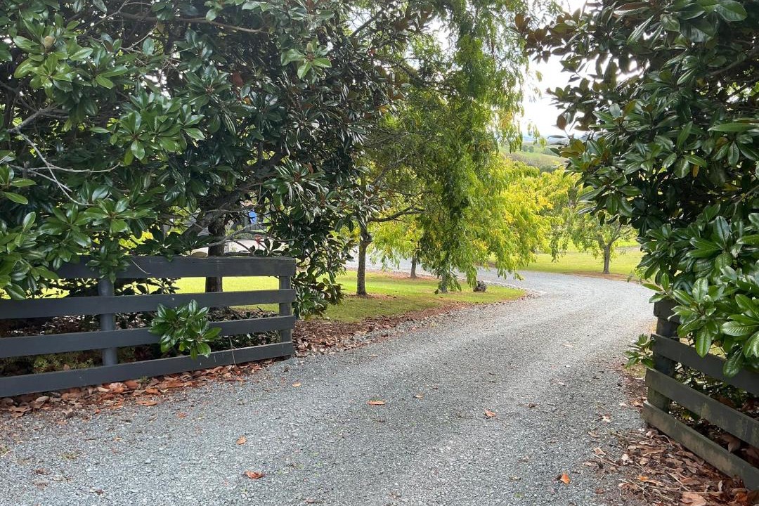 Photo of Others in Maungatapere