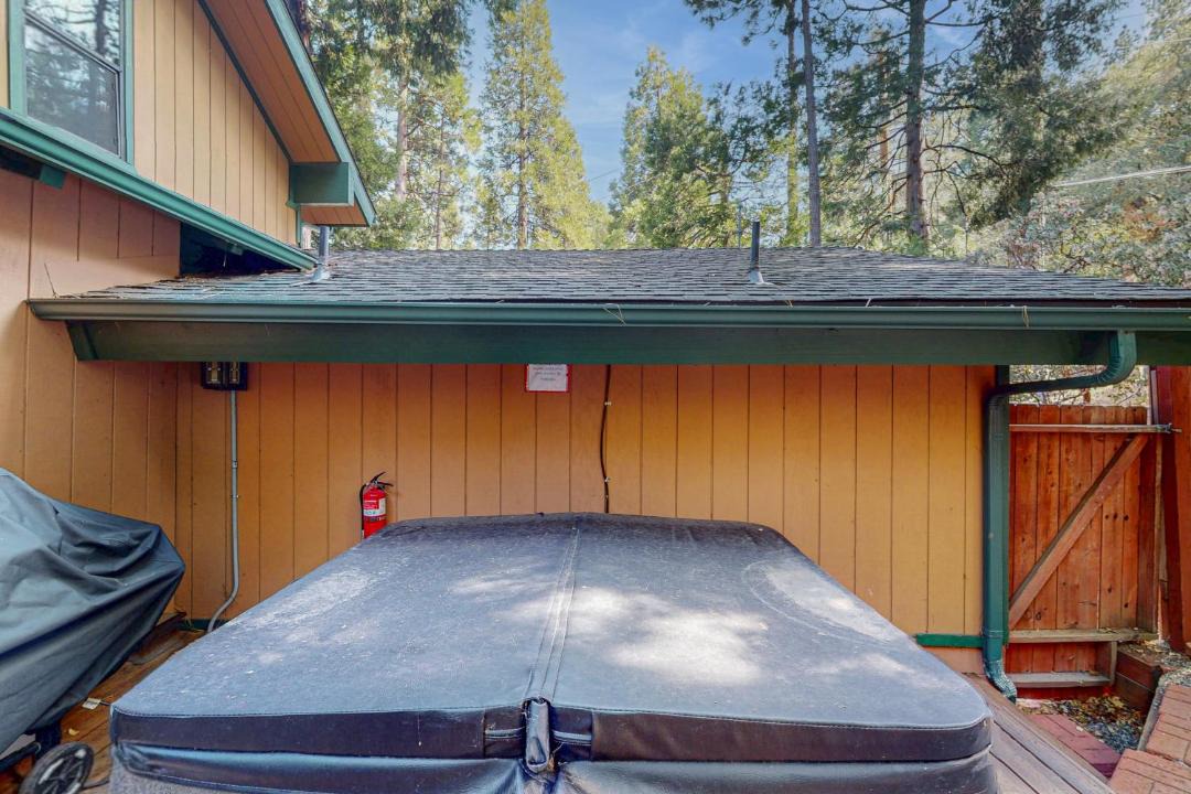 Photo of Others in Idyllwild
