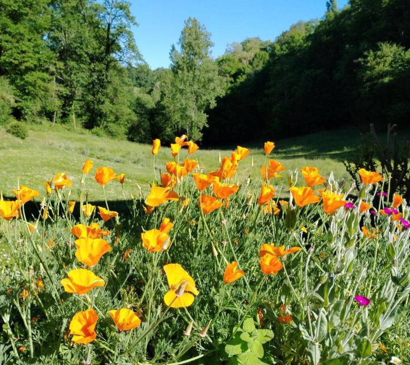 Photo of Others in Figeac