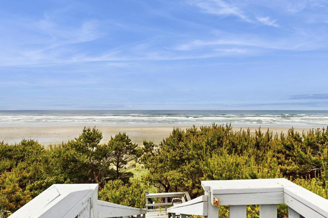 Photo of Others in Seal Rock