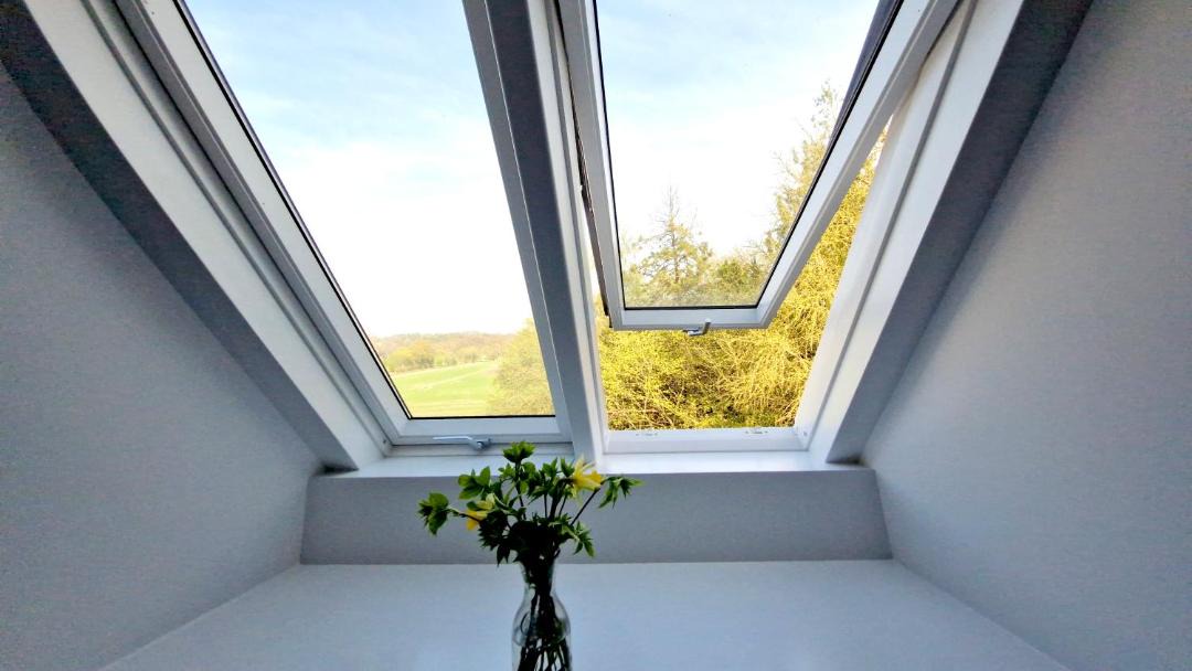 Photo of Others in Haslev