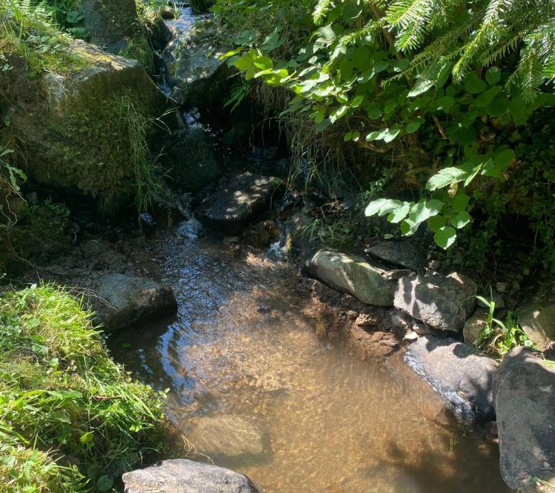Photo of Others in Muhlbach-sur-Bruche
