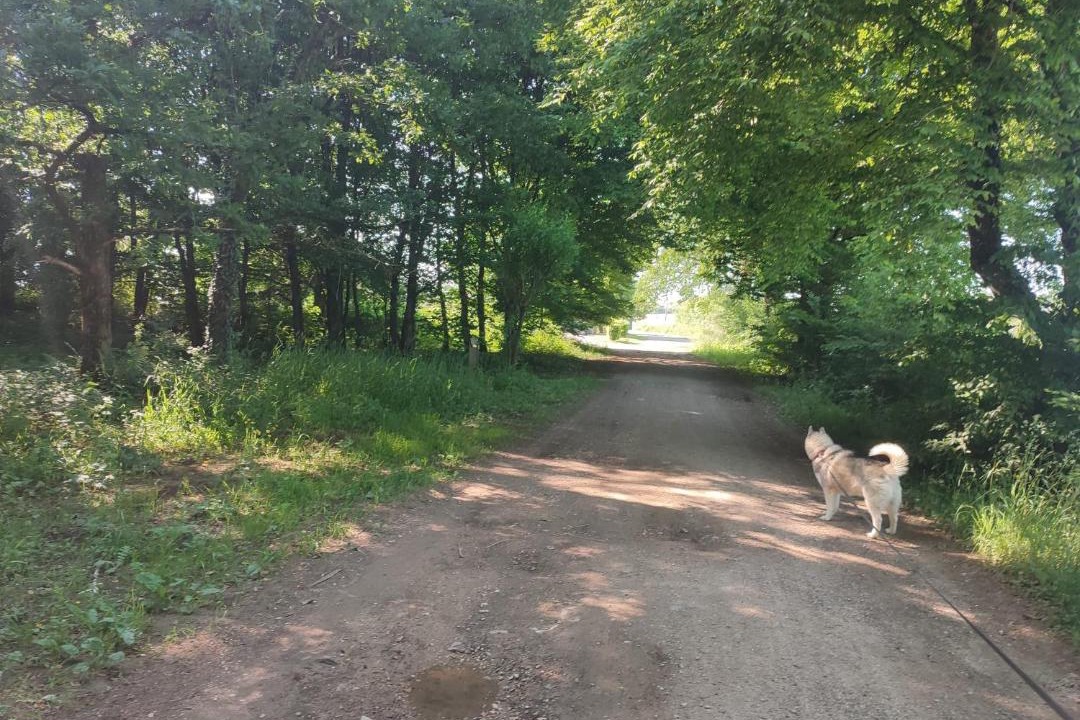 Photo of Others in Ville-sur-Lumes