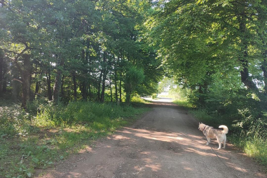 Photo of Others in Ville-sur-Lumes