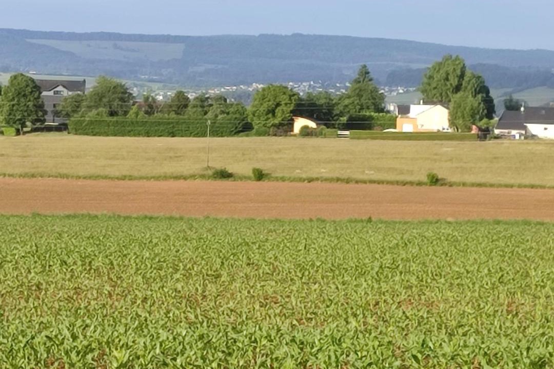 Photo of Others in Ville-sur-Lumes