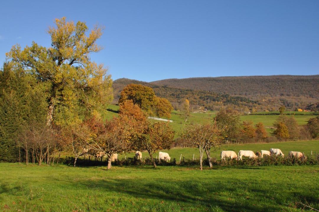 Photo of Others in Treffort-Cuisiat