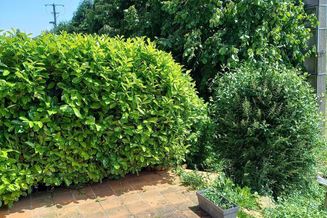 Photo of Others in May-sur-Orne