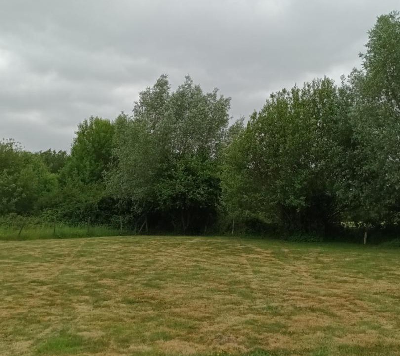 Photo of Others in Le Mesnil-Guillaume