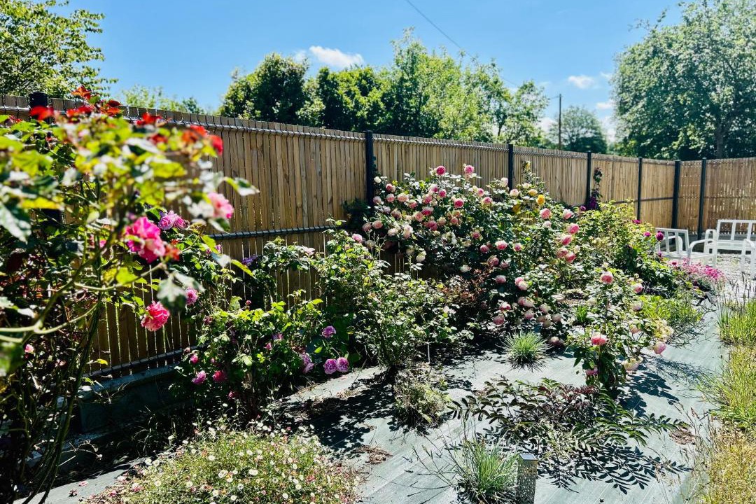 Photo of Others in Lanouee