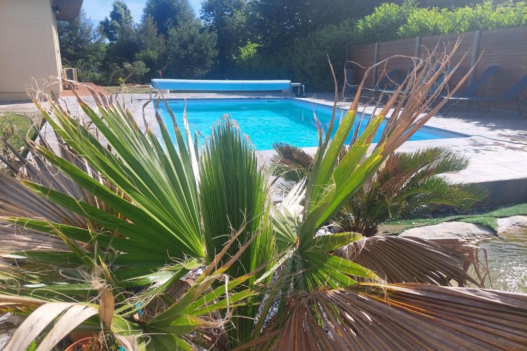 Photo of Others in Parentis-en-Born