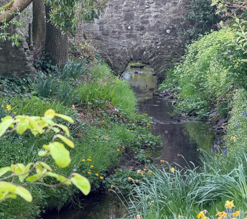 Photo of Others in Kippen