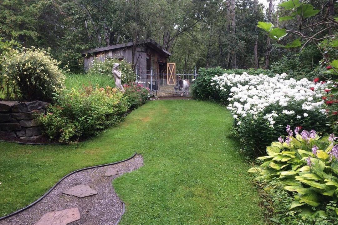 Photo of Others in Chicoutimi