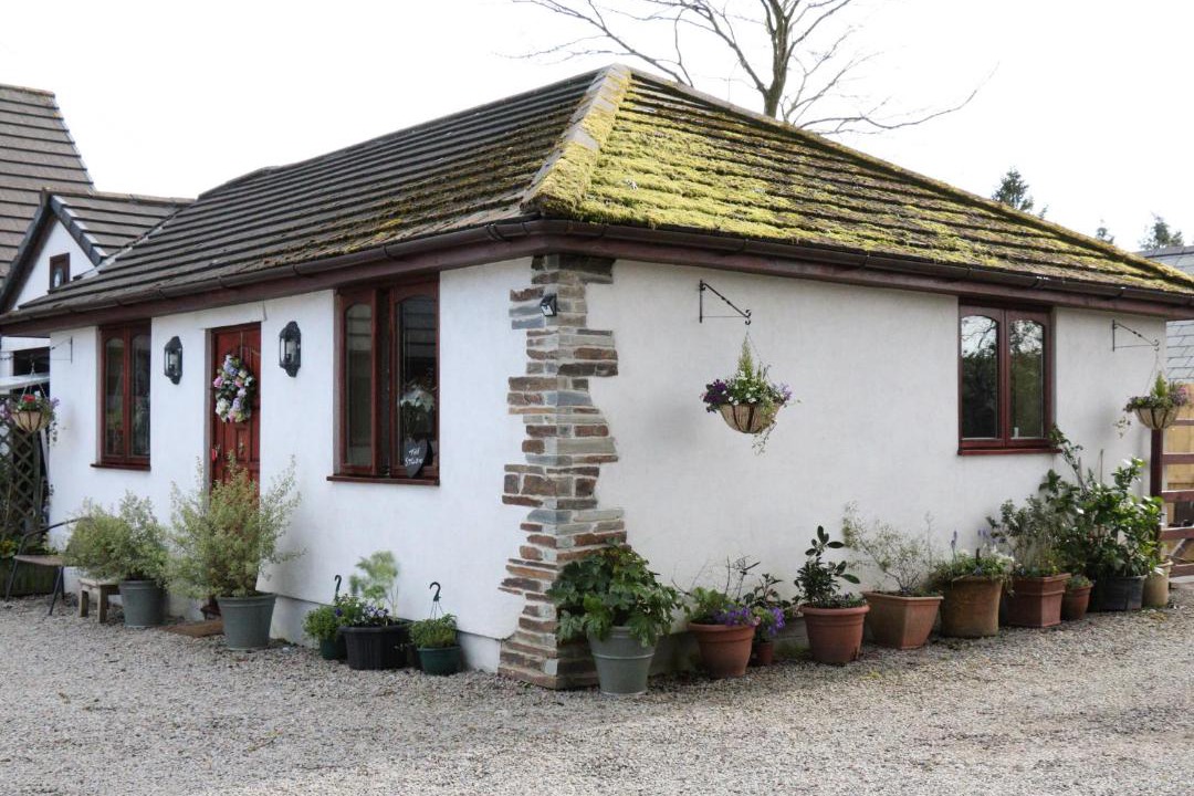 Photo of Others in Callington