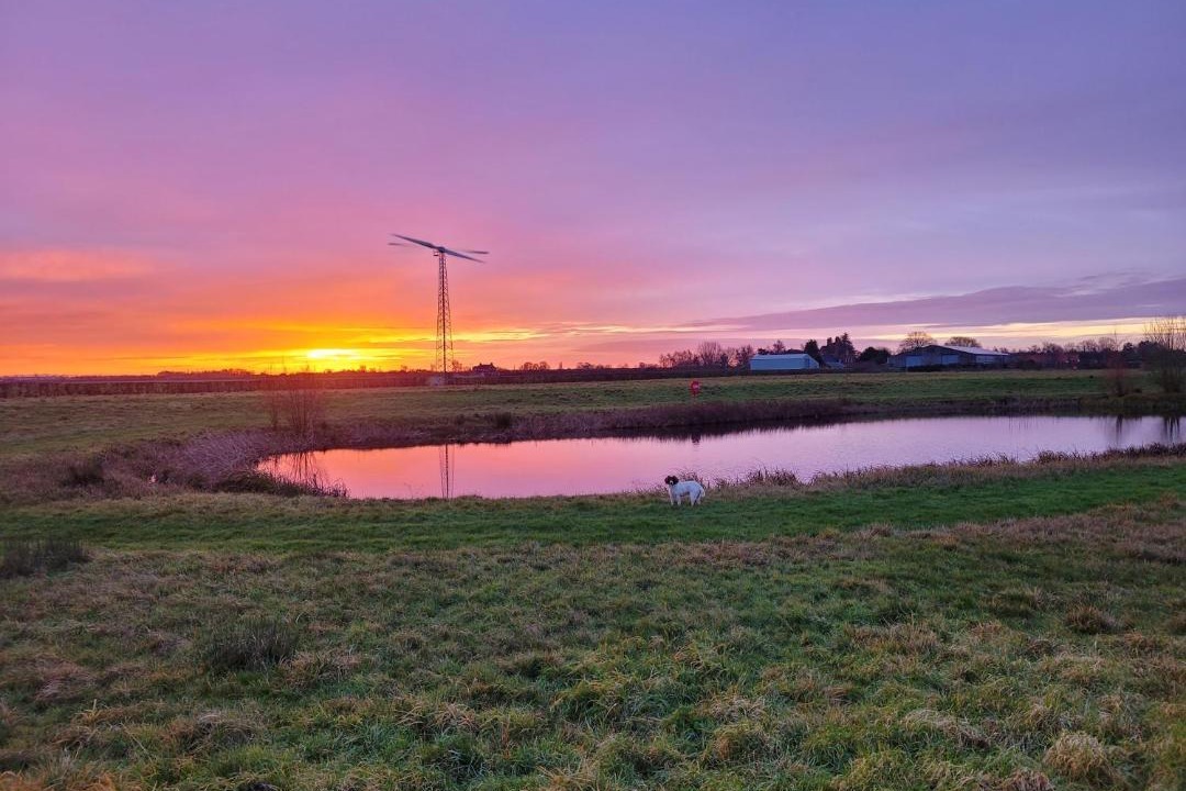 Photo of Others in Frampton