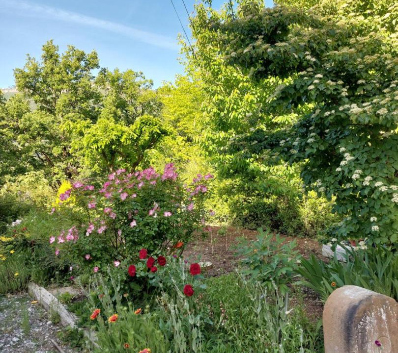 Photo of Others in Serres