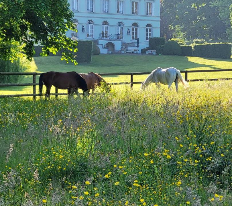 Photo of Others in Pierrefitte-en-Auge