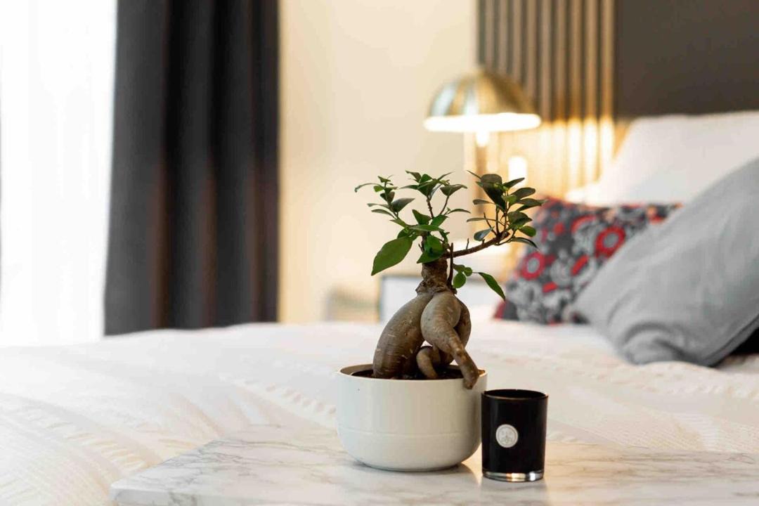 Photo of Bedroom in Grandes-Piles