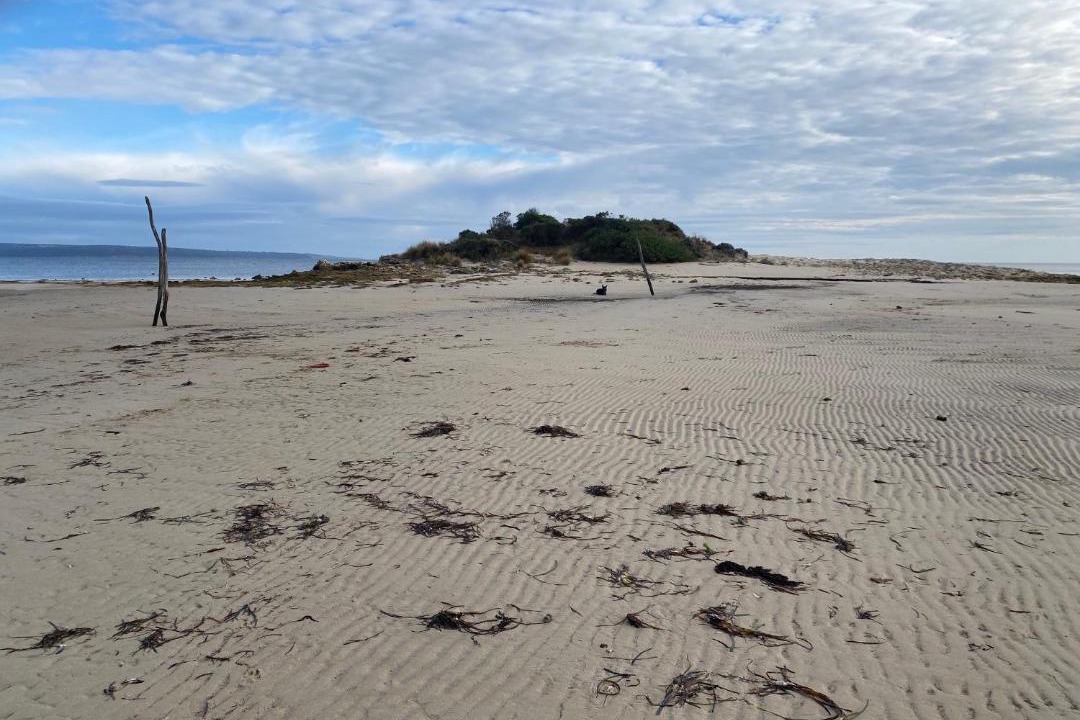 Photo of Others in Baudin Beach