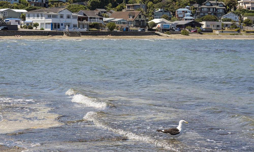 Photo of Others in Plimmerton