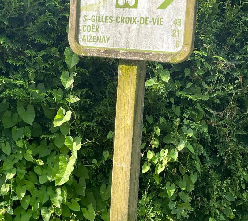 Photo of Others in Le Poire-sur-Vie