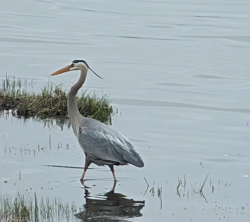 Photo of Others in Saint-Laurent-de-l'ile d'Orleans
