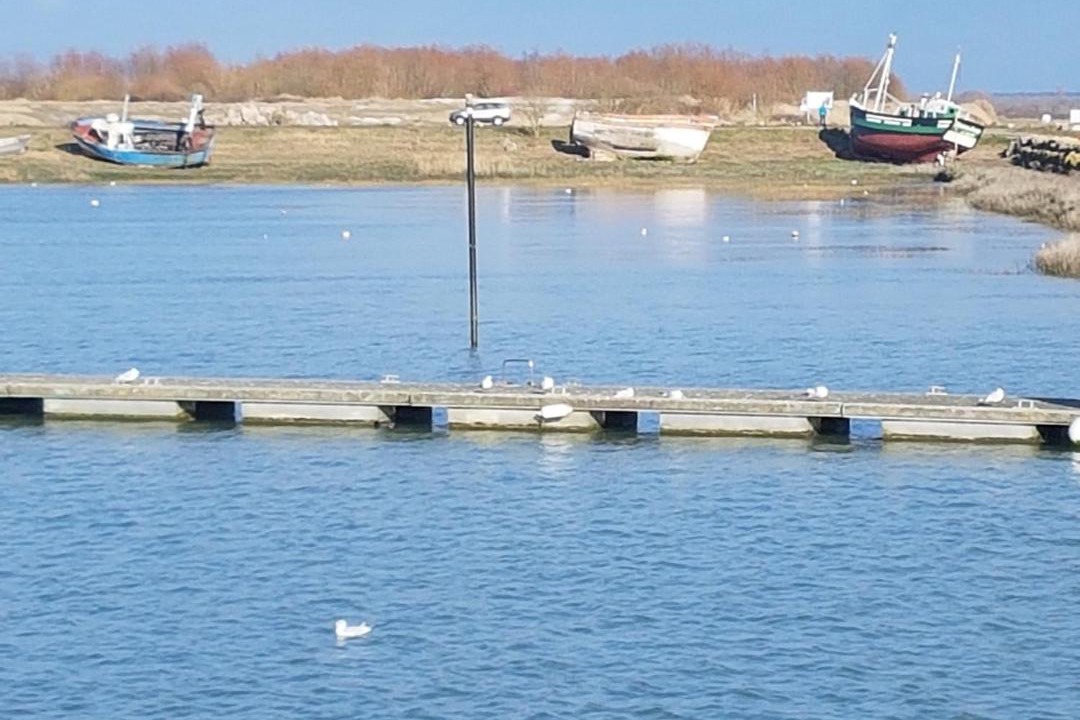Photo of Others in Le Crotoy