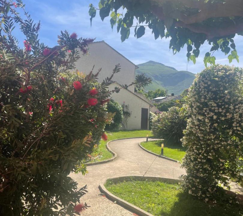 Photo of Others in Sisco