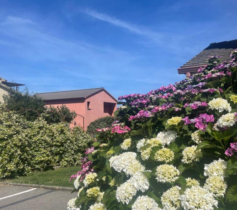 Photo of Outdoor in Sisco