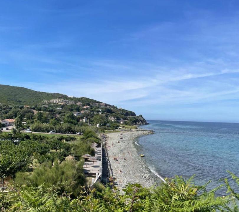 Photo of Others in Sisco